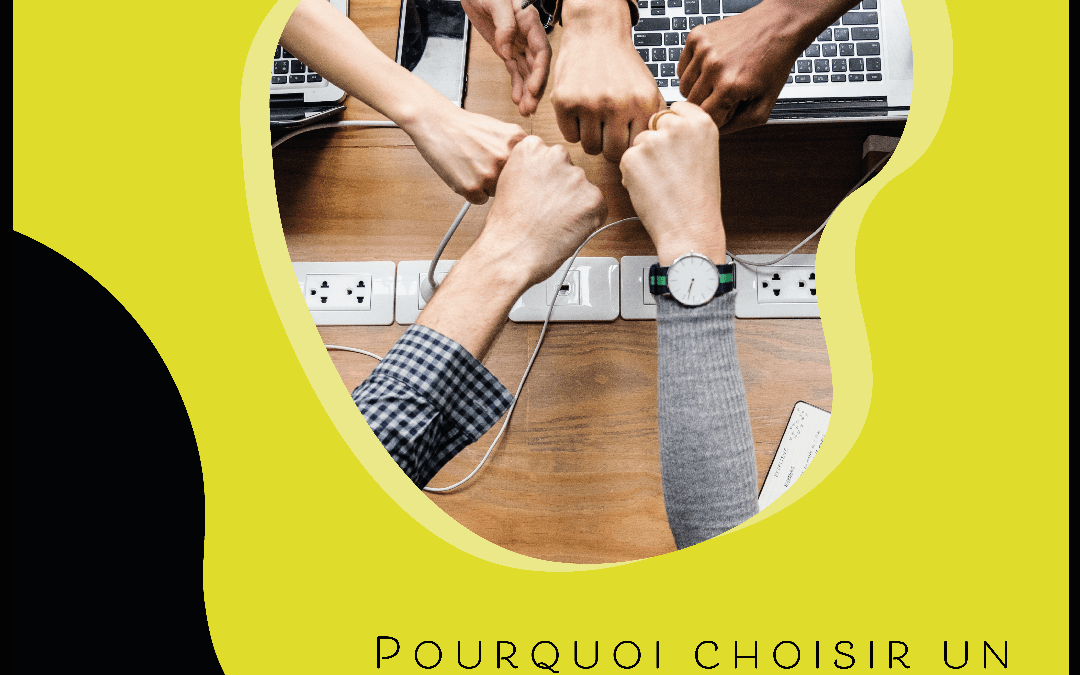 Pourquoi choisir un chef de projet ?